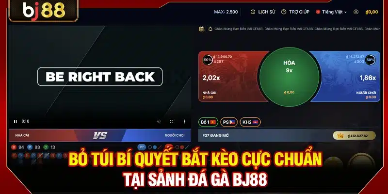 Bỏ túi bí quyết bắt kèo cực chuẩn tại sảnh đá gà BJ88