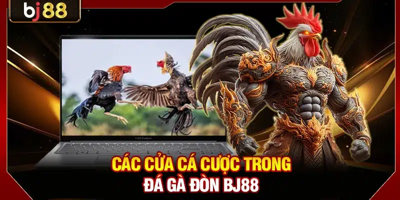 Các cửa cá cược trong đá gà đòn BJ88