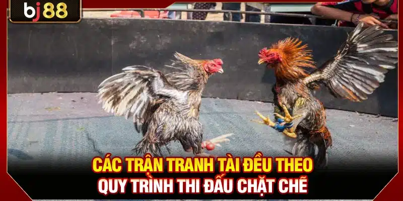 Các trận tranh tài đều theo quy trình thi đấu chặt chẽ