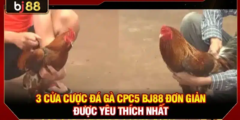 3 cửa cược đá gà CPC5 BJ88 đơn giản được yêu thích nhất