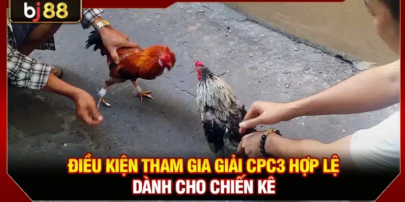 Điều kiện tham gia giải CPC3 hợp lệ dành cho chiến kê