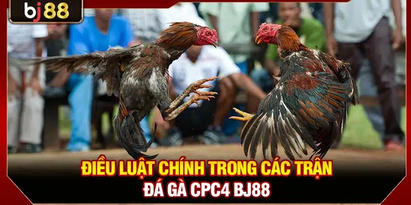 Điều luật chính trong các trận đá gà CPC4 BJ88