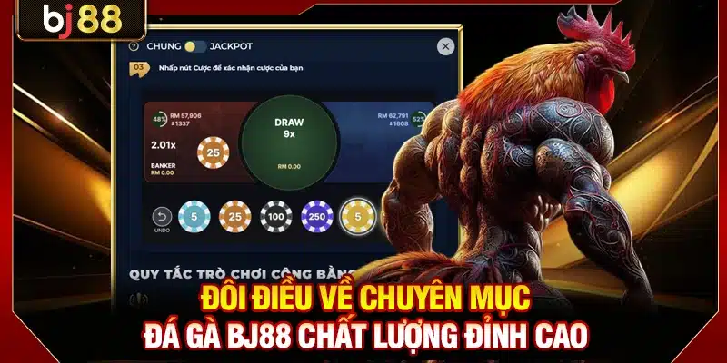 Đôi điều về chuyên mục đá gà BJ88 chất lượng đỉnh cao