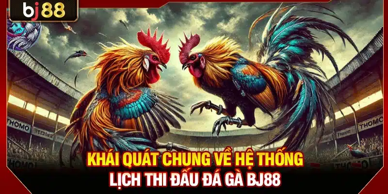 Khái quát chung về hệ thống lịch thi đấu đá gà BJ88
