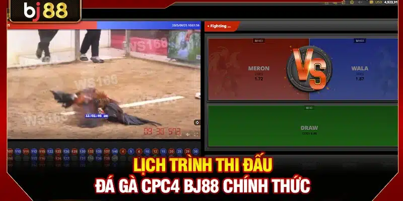 Lịch trình thi đấu đá gà CPC4 BJ88 chính thức