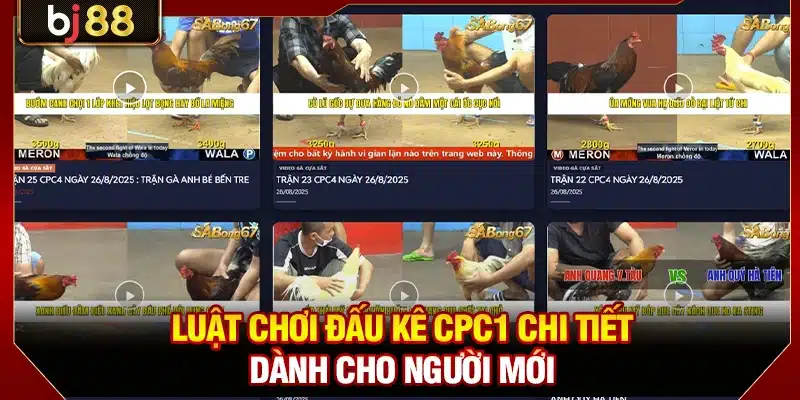Luật chơi đấu kê CPC1 chi tiết dành cho người mới
