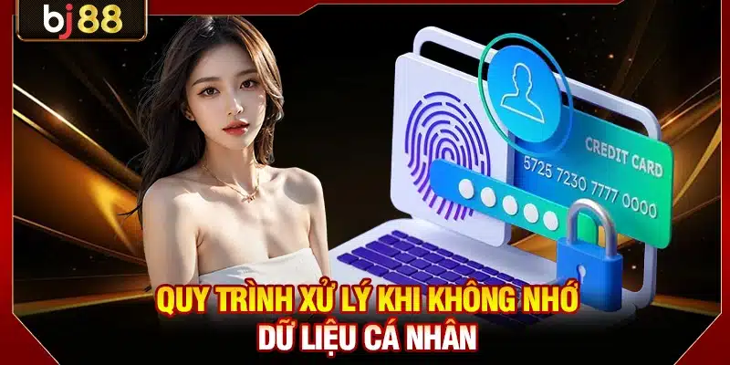 Quy trình xử lý khi không nhớ dữ liệu cá nhân