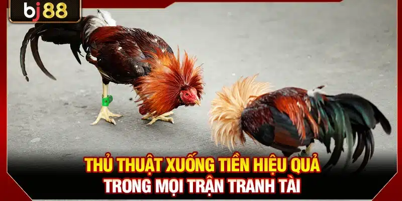 Thủ thuật xuống tiền hiệu quả trong mọi trận tranh tài
